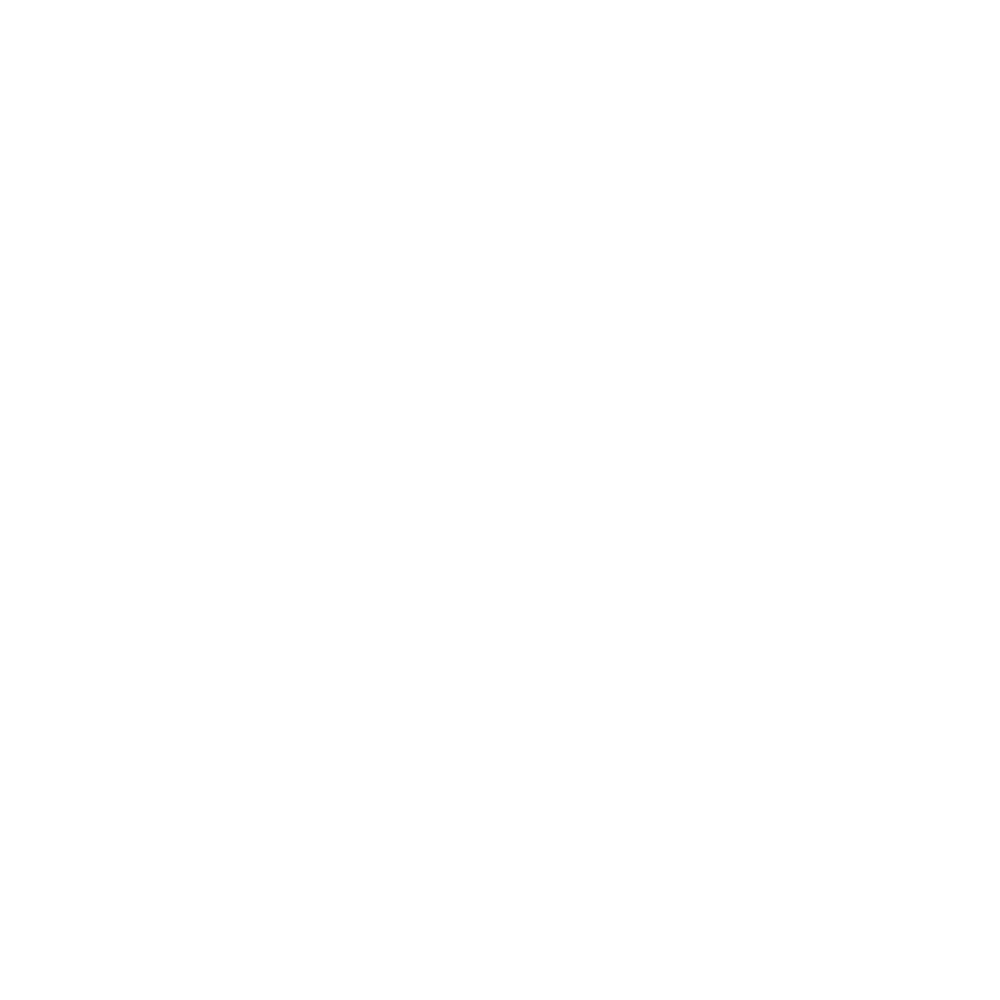 PPS Energie LOGO Blanc PPS Energie LOGO Blanc